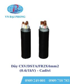 Dây cáp điện Cadivi CXV/DSTA/FR2X4mm2 (0.6/1kV)