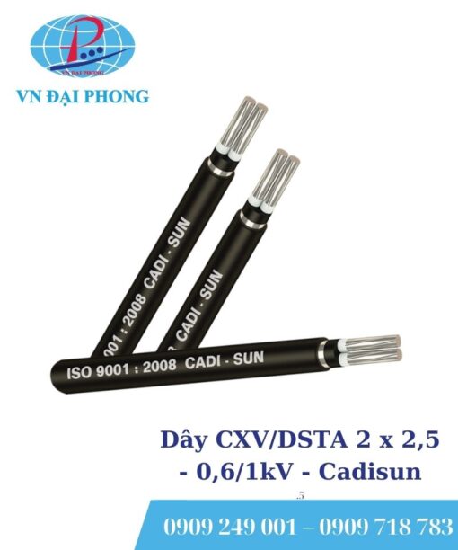 Dây cáp điện Cadisun CXV/DSTA 2 x 2,5 - 0,6/1kV
