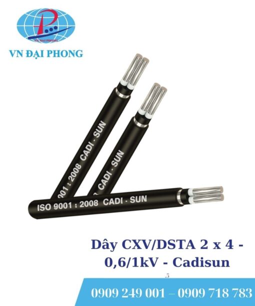 Dây cáp điện Cadisun CXV/DSTA 2 x 4 - 0,6/1kV