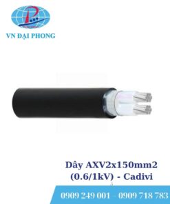 Dây cáp điện Cadivi AXV2x150mm2 (0.6/1kV)