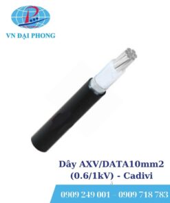 Dây cáp điện Cadivi AXV/DATA10mm2 (0.6/1kV)