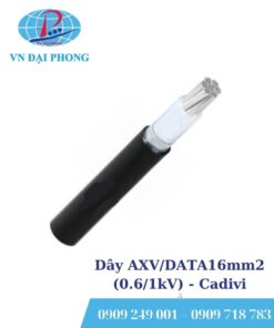 Dây cáp điện Cadivi AXV/DATA16mm2 (0.6/1kV)
