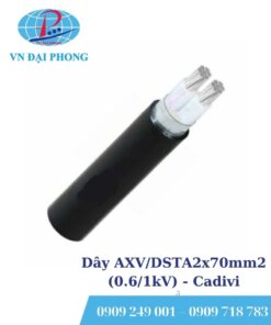 Dây cáp điện Cadivi AXV/DSTA2x70mm2 (0.6/1kV)