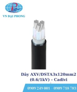 Dây cáp điện Cadivi AXV/DSTA3x120mm2 (0.6/1kV)