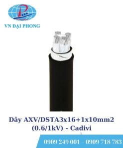 Dây cáp điện Cadivi AXV/DSTA3x16+1x10mm2 (0.6/1kV)