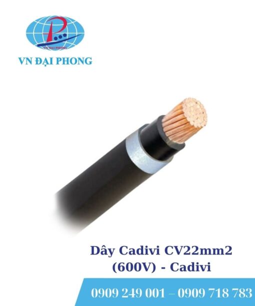 Dây cáp điện Cadivi CV22mm2 (600V)