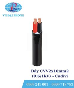 Dây cáp điện Cadivi CVV2x16mm2 (0.6/1kV)