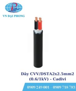 Dây cáp điện Cadivi CVV/DSTA2x2.5mm2 (0.6/1kV)