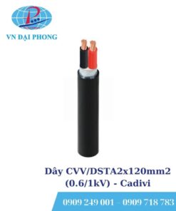 Dây cáp điện Cadivi CVV/DSTA2x120mm2 (0.6/1kV)