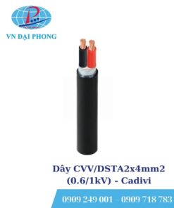Dây cáp điện Cadivi CVV/DSTA2x4mm2 (0.6/1kV)