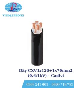 Dây cáp điện Cadivi CXV3x120+1x70mm2 (0.6/1kV)