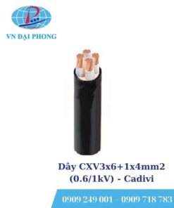 Dây cáp điện Cadivi CXV3x6+1x4mm2 (0.6/1kV)