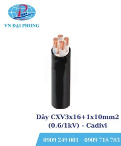 Dây cáp điện Cadivi CXV3x16+1x10mm2 (0.6/1kV)
