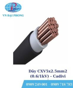 Dây cáp điện Cadivi CXV5x2.5mm2 (0.6/1kV)