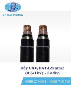 Dây cáp điện Cadivi CXV/DATA25mm2 (0.6/1kV)