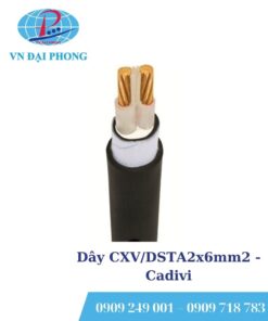 Dây cáp điện Cadivi CXV/DSTA2x6mm2 (0.6/1kV)
