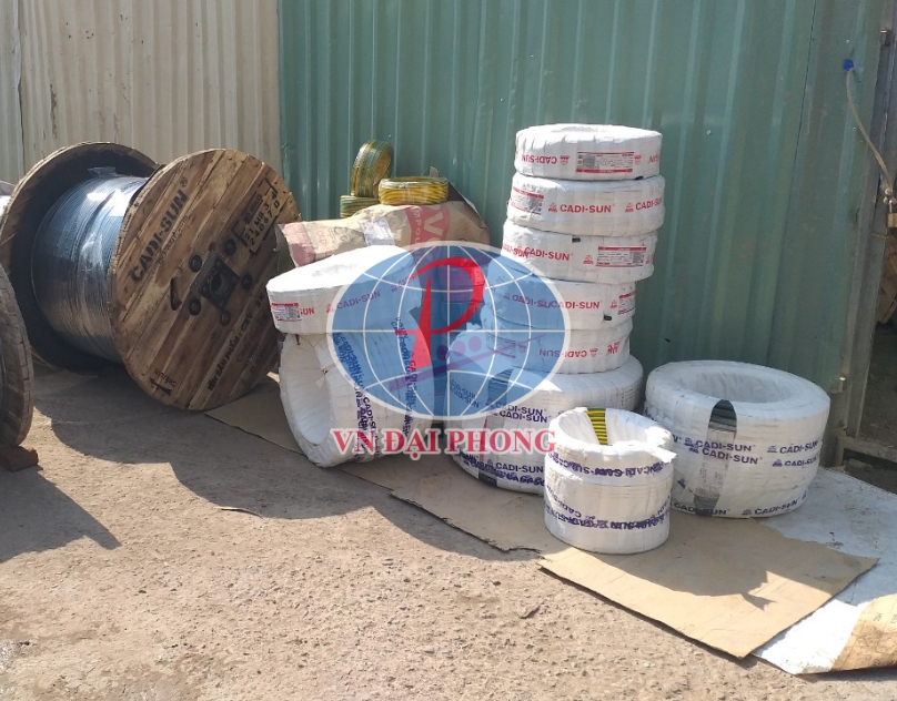 Dây cáp điện Cadisun CXV/DSTA 2 x 2,5 - 0,6/1kV