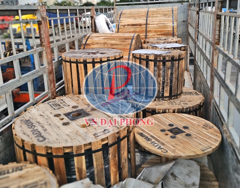 Dây cáp điện Cadisun CXV/DSTA 2 x 50 - 0,6/1kV