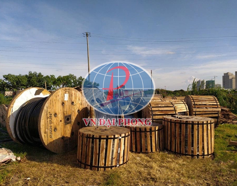 Dây cáp điện Cadisun CXV/DSTA 3 x 10 - 0,6/1kV