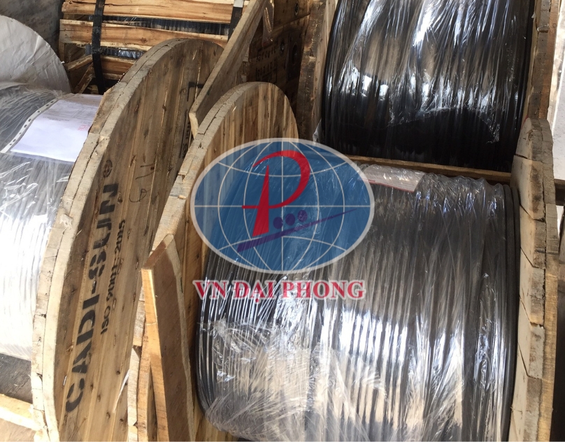 Dây cáp điện Cadisun CXV/DSTA 3 x 120+1 x 95 - 0,6/1kV