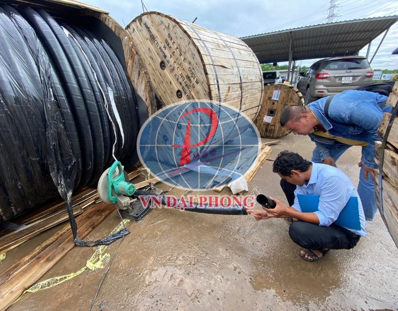 Dây cáp điện Cadisun CXV/DSTA 3 x 35+1 x 25 - 0,6/1kV