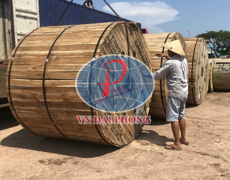 Dây cáp điện Cadisun CXV/DSTA 3 x 50+1 x 35 - 0,6/1kV