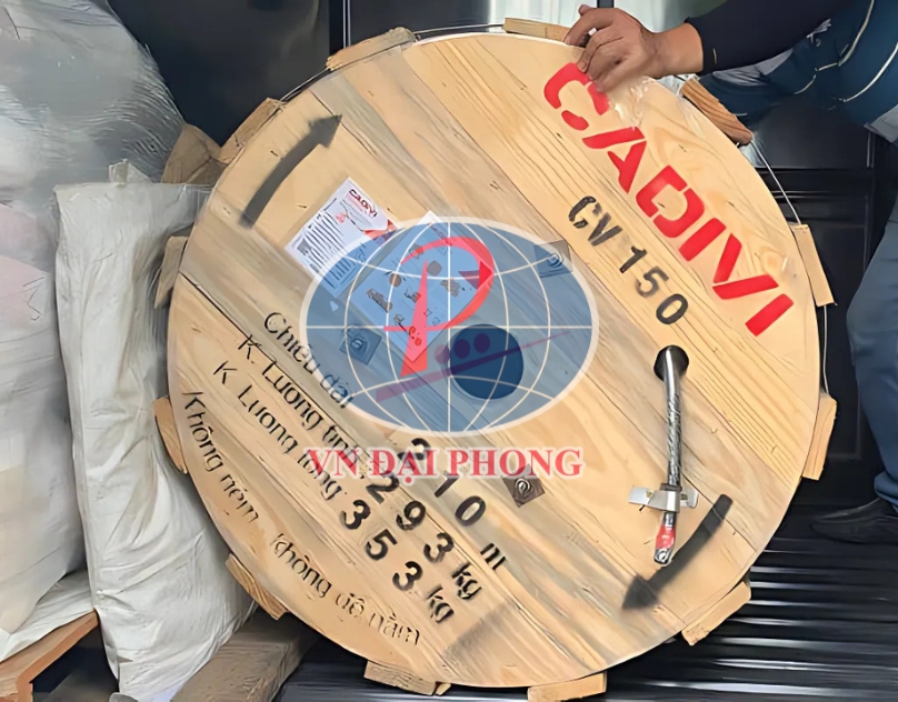 Dây cáp điện Cadivi CVV2x22mm2 (0.6/1kV)