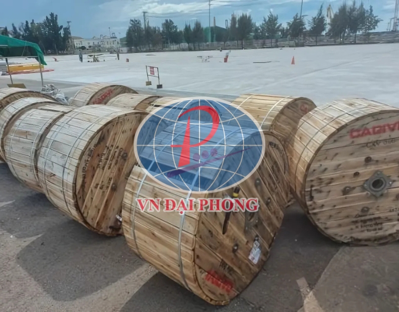 Dây cáp điện Cadivi CVV60mm2 (0.6/1kV)