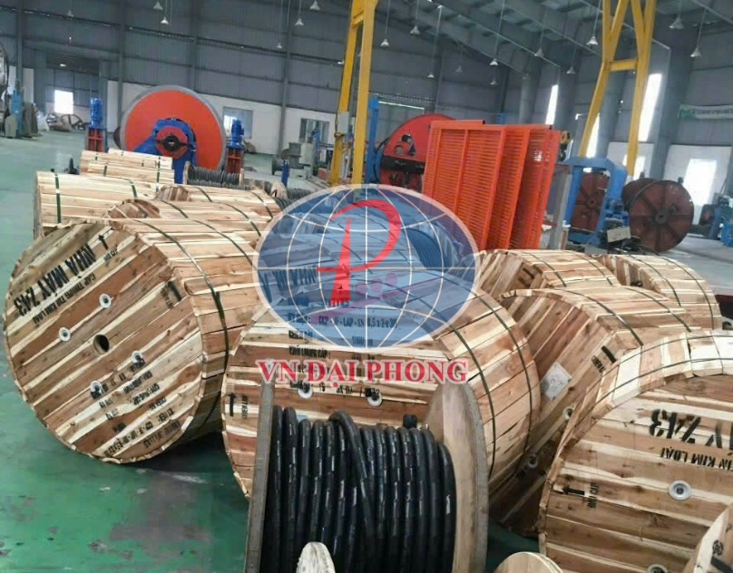 Dây cáp điện Cadivi CX1/WBC50mm2 (24kV) cách điện 5.5mm