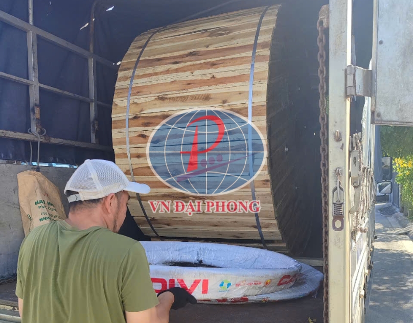 Dây cáp điện Cadivi DXV10x1.25mm2 (0.6/1kV)