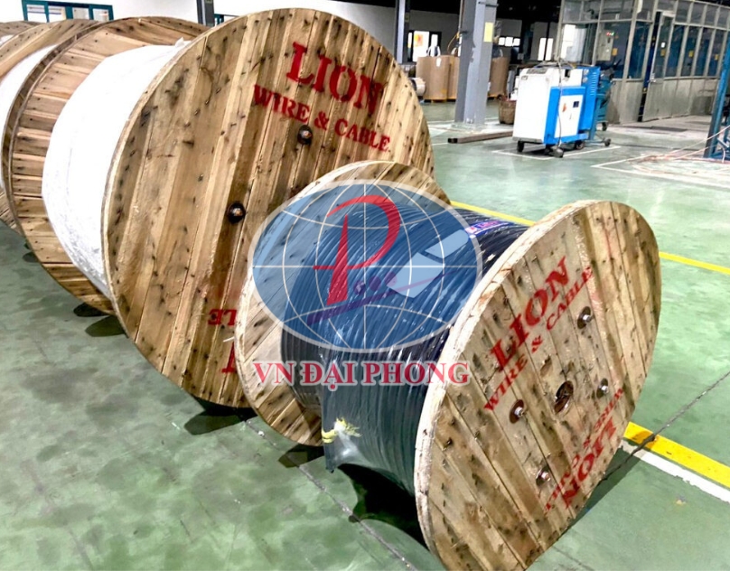 Dây cáp điện Lion DuCV 2 x 10 - 0,6/1kV