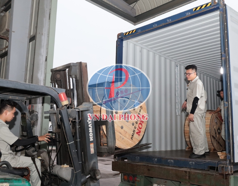 Dây cáp điện Lion DuCV 2 x 16 - 0,6/1kV