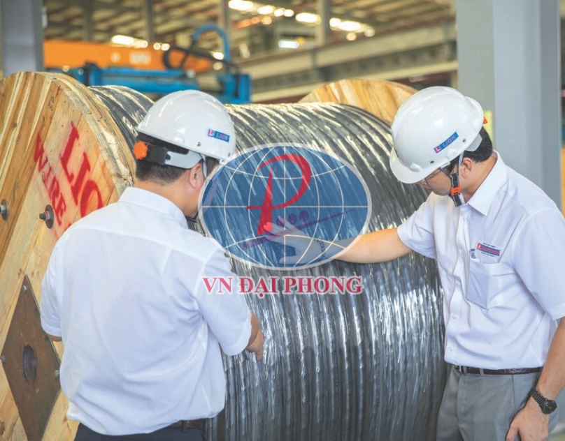 Dây cáp điện Lion VCm 95 – 0,6/1kV