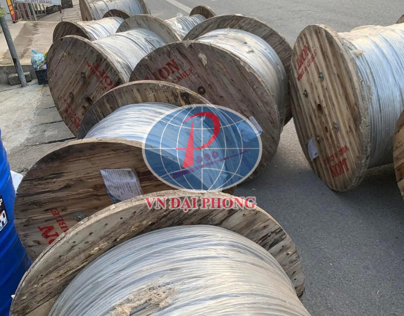 Dây cáp điện Lion VVCm (3 x 25)+(1 x 16) - 0,6/1kV