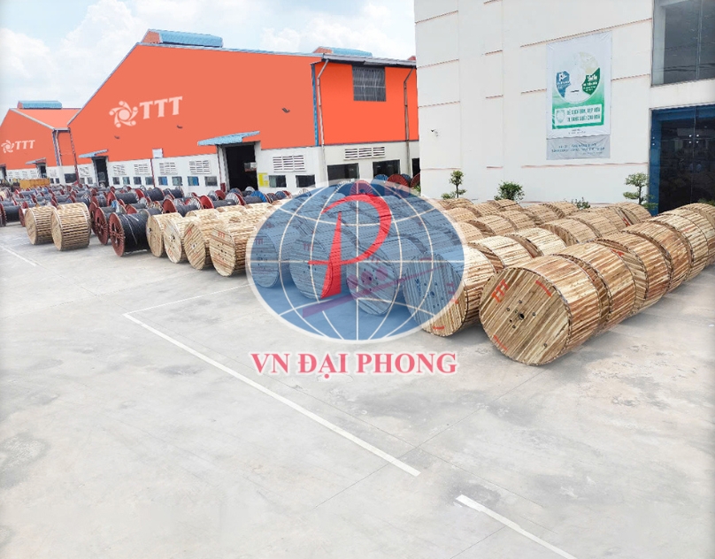 Dây cáp điện Tài Trường Thành CV10mm2 (0.6/1kV)