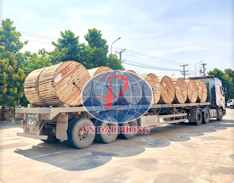 Cáp đồng Tài Trường Thành CX 150mm2 - 12,7/22(24)kV (WB/Sc)