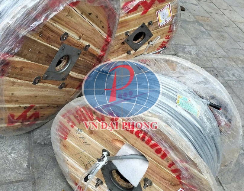 Dây cáp điện Taya CU/PVC (IV) 95