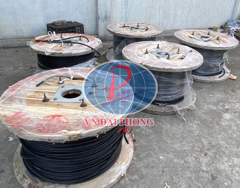 Dây cáp Taya CU/PVC/PVC (CVV) 12 x 2