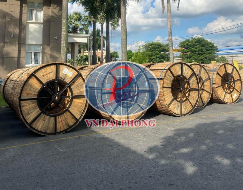 Dây cáp điện Thịnh Phát CVV 3 x 10 - 0,6/1kV