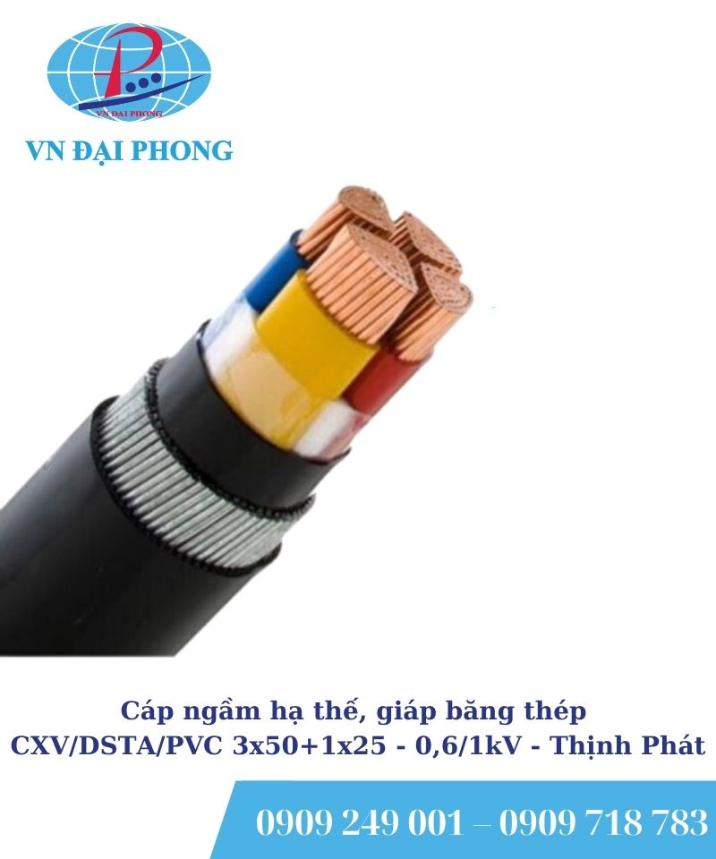 Cáp ngầm hạ thế Thịnh Phát, giáp băng thép CXV/DSTA/PVC 3x50+1x25 - 0,6/1kV