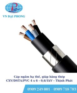 Cáp ngầm hạ thế Thịnh Phát, giáp băng thép CXV/DSTA/PVC 4 x 6 - 0,6/1kV