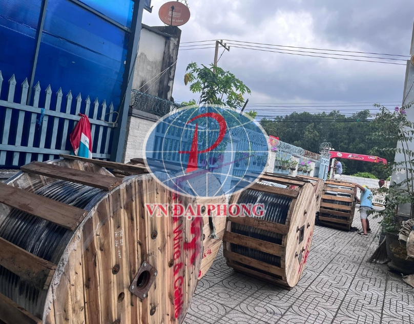 Dây cáp Taya CU/XLPE/PVC (CV3+1) (3 x 10)+(1 x 6)